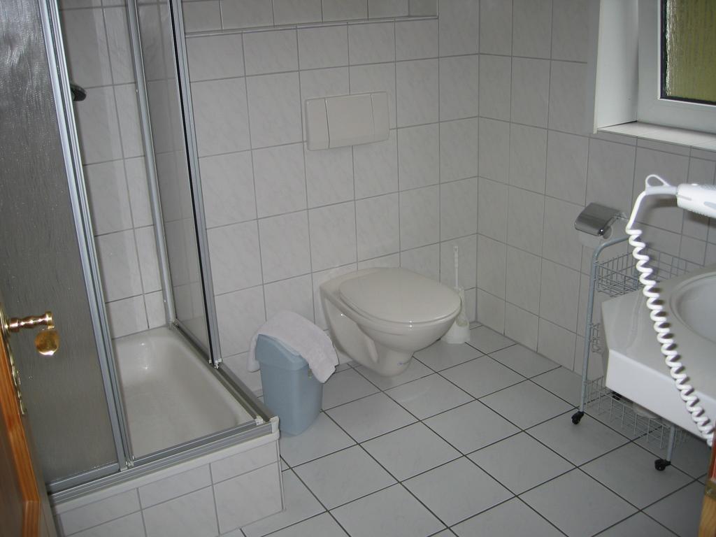 Landhotel Alte Aue 알테나우 객실 사진