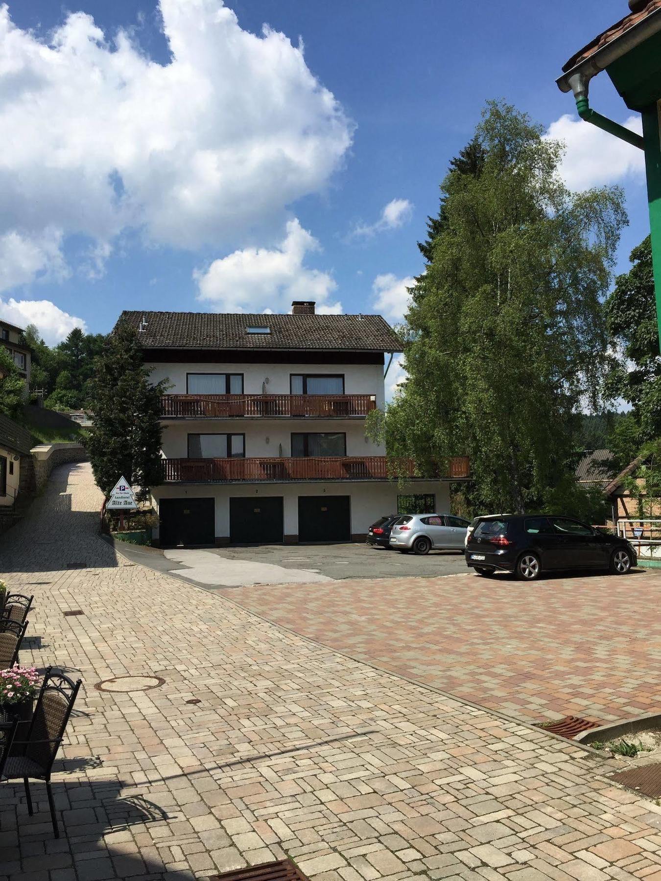 Landhotel Alte Aue 알테나우 외부 사진